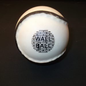 Wall Ball Sliotar